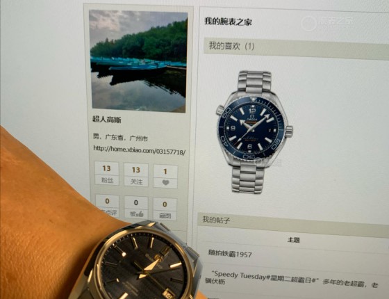 冠蓝狮SBGH273，惊鸿一瞥，明媚不可方物