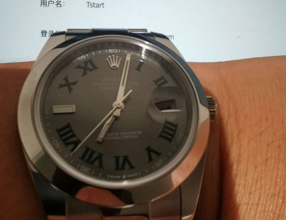 缘分入绿萝