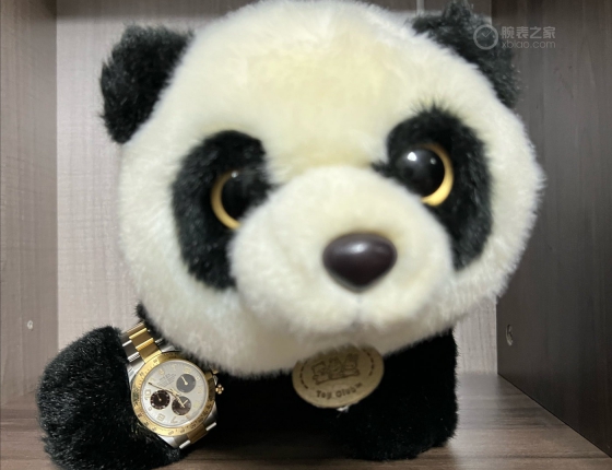 #2022腕表与我#一只停产的小熊猫，一段美好的回忆