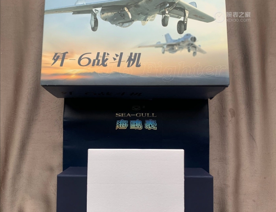 国产大海鸥空军飞行员
