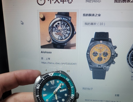 新手求教，新如手的绿鲍鱼如何换表带