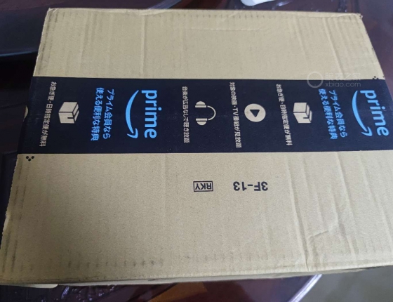 东方双狮熊猫计时