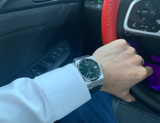 第一次入手小皇家橡树