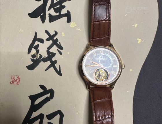 海鸥陀飞轮金表618.660作业。。。。。