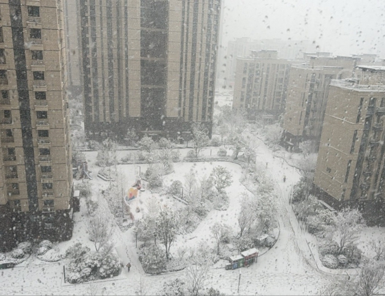 贺新年，瑞雪❄️下的欧米茄新碟飞