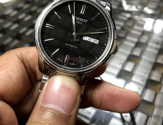 结缘橡树离岸