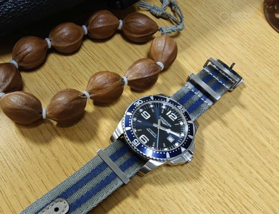 蓝色康卡斯的放射纹