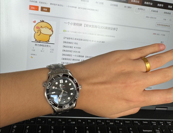 一个小里程碑 【欧米茄海马300黑钢全新】