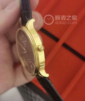 漂亮小海龟，带你心情飞