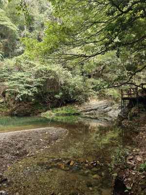 #秋日赏表#与万宝龙一起，探寻仙寓山美景