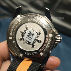 雪铁纳大海龟