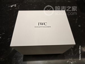 #2025我买的第一只表#白盘金针葡七