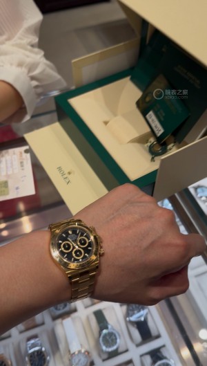 人生跌宕起伏 金迪伴我闖蕩人生