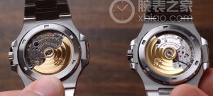真假鹦鹉螺