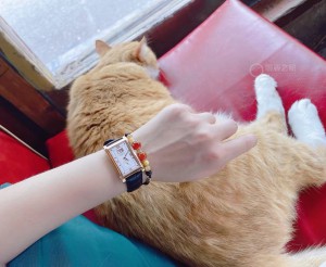 一个女生朗格爱好者会买哪一款